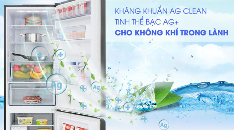 Tủ lạnh Panasonic Inverter 322 lít NR-BC360QKVN kháng khuẩn