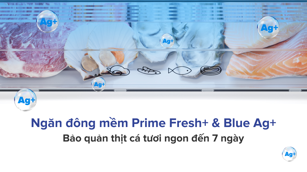 Tủ lạnh Panasonic Inverter 255 lít NR-BV281BGMV - Ngăn đông mềm diệt khuẩn Prime Fresh+ & Blue Ag+