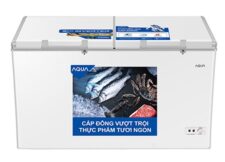 Tủ đông Aqua Inverter 365L AQF-C5702E