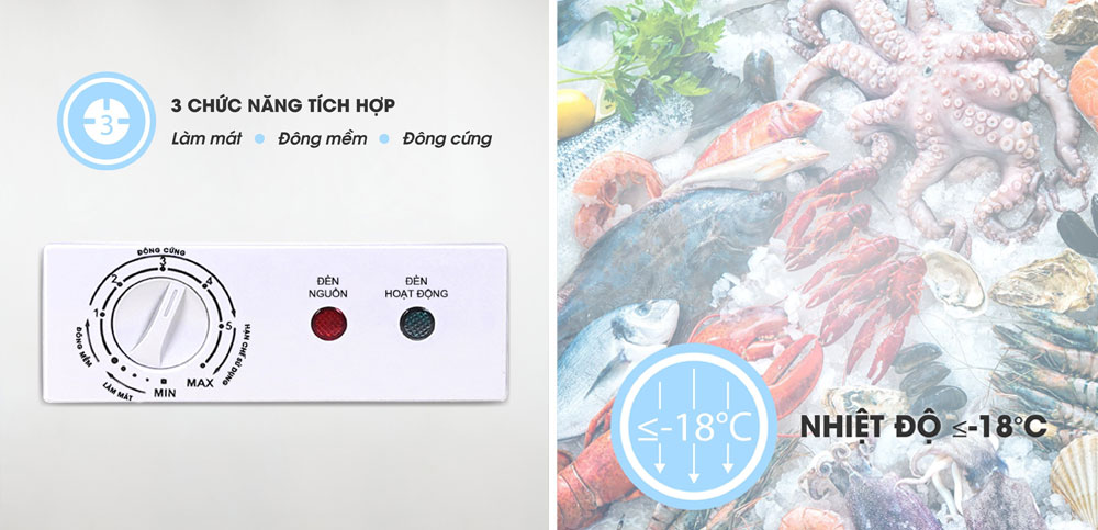 Tủ đông ngăn đông mềm sanaky vh-4099a2kd