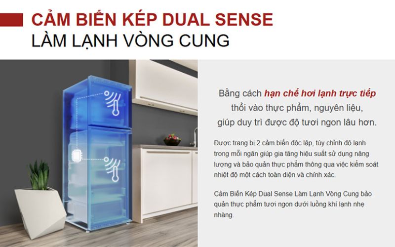  Công nghệ làm lạnh vòng cung Dual Sense duy trì độ tươi ngon lâu dài hơn