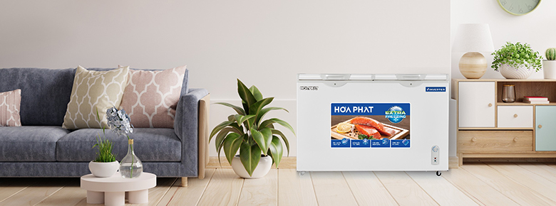 Tủ đông Hòa Phát HPF BD8245