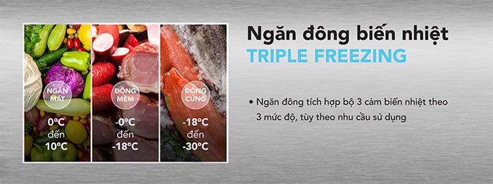 Tủ đông Hòa Phát 1 ngăn 2 cánh HSF AD6357.C1