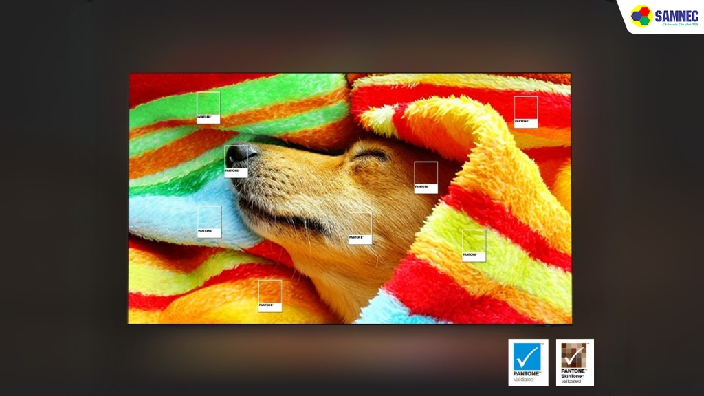 Tivi Samsung này đạt chứng nhận PANTONE